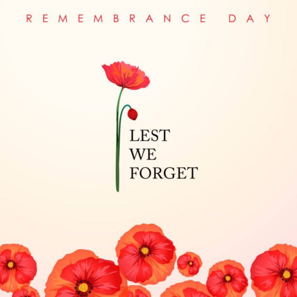 Harrow High School - Remembrance Day Resources 11.11.2021